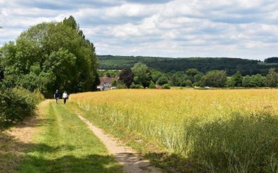 2021 Horsham Annual Riverside Walk