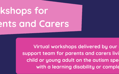 Workshops for Parents and Carers